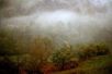 7 fall leaves in cloud