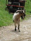 IMG_0945 14-21-54-403