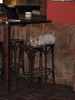 IMG_0962 14-21-54-587
