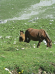 IMG_0982 14-21-55-033