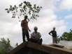 24 TreeOnRoof