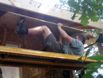 19 pv W eaves Paul Titi 2