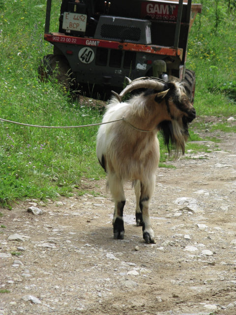 Loading Image